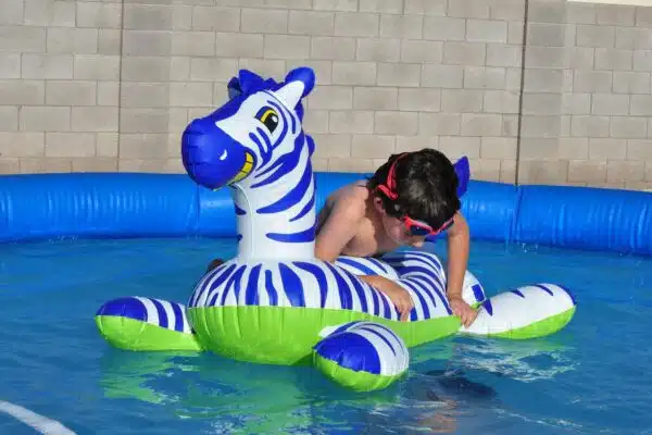 Matériel de piscine : Quelle piscine hors sol pour son extérieur ?