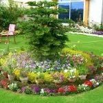 De l'idée à la conception comment créer son jardin