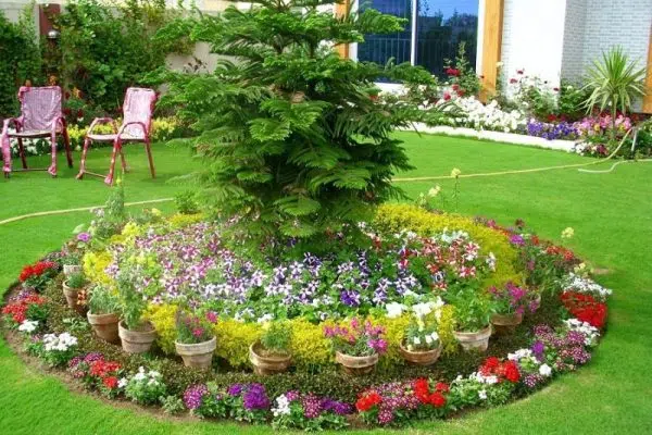 De l’idée à la conception : comment créer son jardin ?