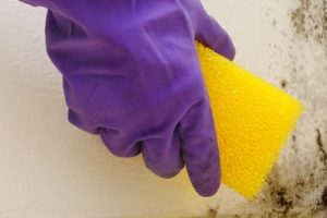 Les conseils pour réussir le nettoyage d’une peinture mate
