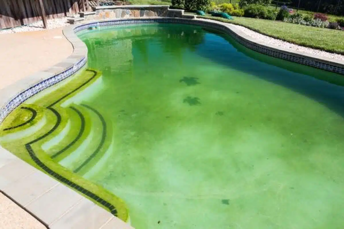 Escalier de piscine : comment bien l’entretenir ?