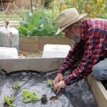 Quelle bâche pour jardinière