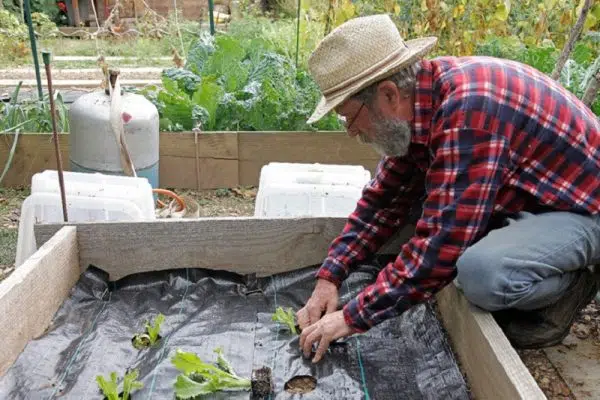 Quelle bâche pour jardinière ?