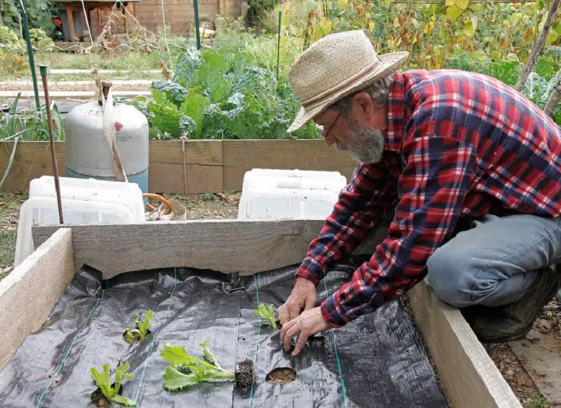 Quelle bâche pour jardinière ?