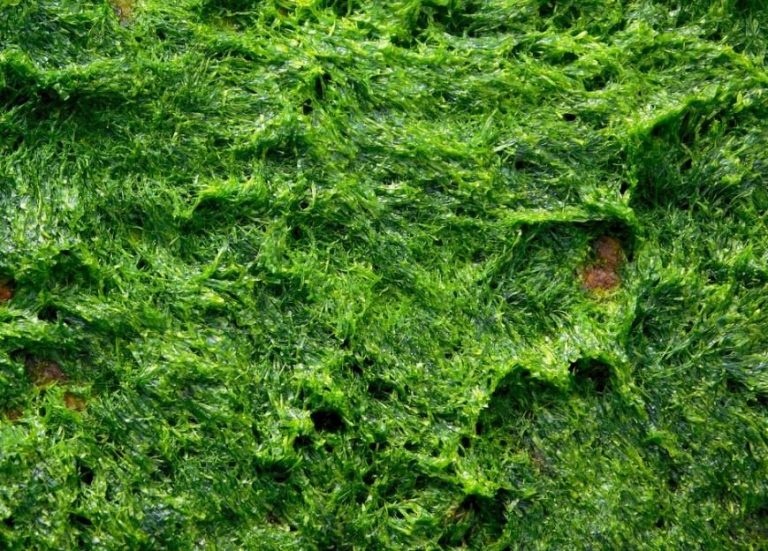 Comment enlever de la mousse isolante ?