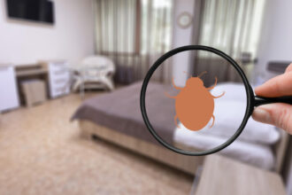 Annecy : solutions professionnelles pour un intérieur sans punaises de lit