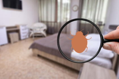 Annecy : solutions professionnelles pour un intérieur sans punaises de lit