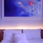 Astuces professionnelles pour éliminer les punaises de lit