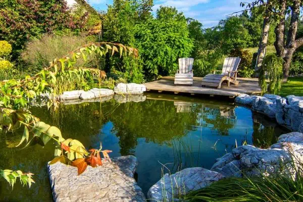 Bassin de jardin : lequel choisir pour son extérieur ?