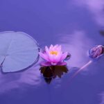 Choisir une décoration zen pour sa maison