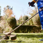 Jardinier auto-entrepreneur : tarifs, avantages et crédit d'impôt en 2026