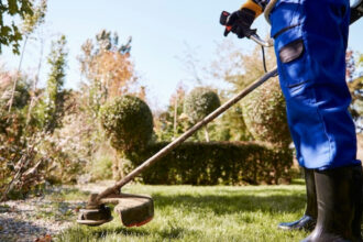 Jardinier auto-entrepreneur : tarifs, avantages et crédit d'impôt en 2026