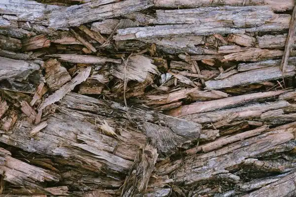 Quels sont les avantages des granulés de bois ?