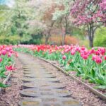 L'aménagement du jardin et du potager sans difficulté