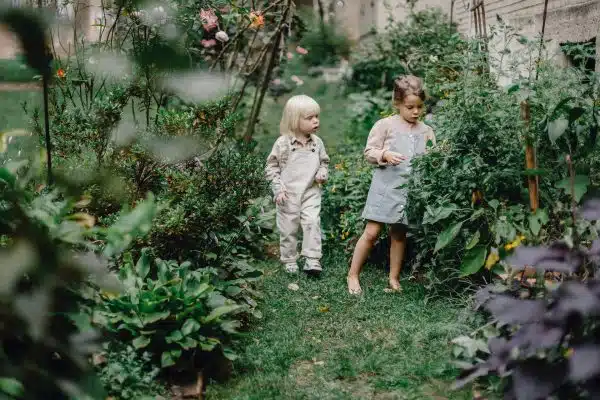 Comment créer un jardin écolo et respectueux de l’environnement