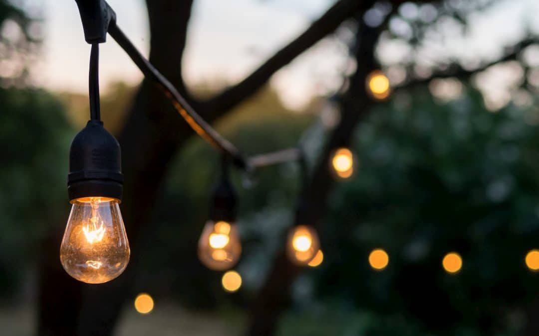 guirlande guinguette botanique 