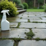 Terrasse en pierre très encrassée avec algues et salissures noires avant nettoyage avec produit Jnet Gros Travaux