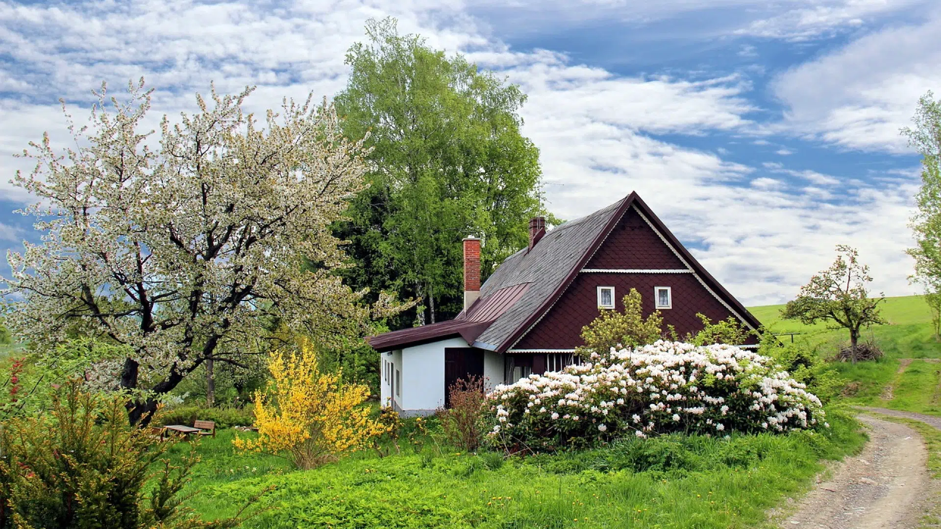 Top des idées pour aménager son jardin